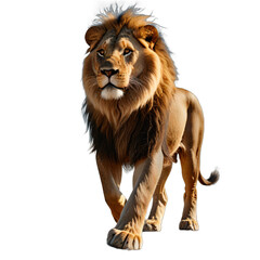 Obraz premium lion isolated transparent background PNG. ai generated