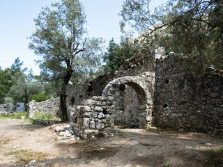 Fototapeta na wymiar The ruins of Olympos, Lycian Way, Olympos Beydagları National Park, Cirali, Turkey