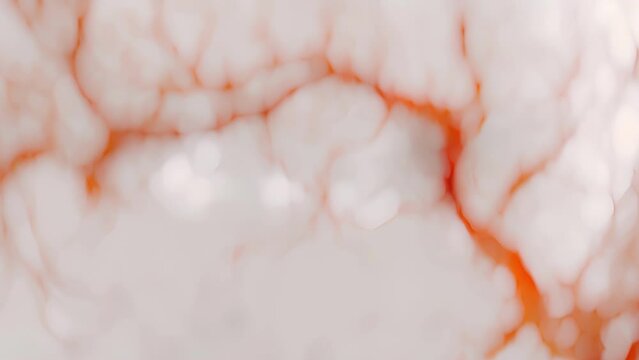 An intricate network of vessels on a closeup image of an angiogram enhanced by AI algorithms for the early detection of heart disease and other circulatory issues.