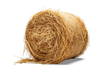 bundle of straw in front of white background
