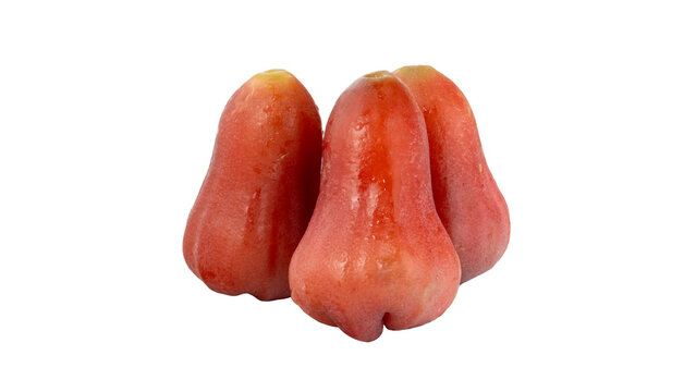 Fresh rose apples isolated