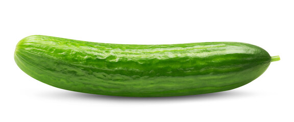 Ripe cucumber isolated on transparent background.