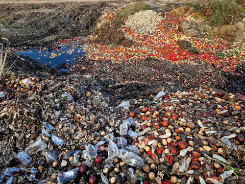 composting is a method of recycling fruits and vegetables. Rotten and moldy baked goods are unsaleable to be thrown away in a pile from the supermarket