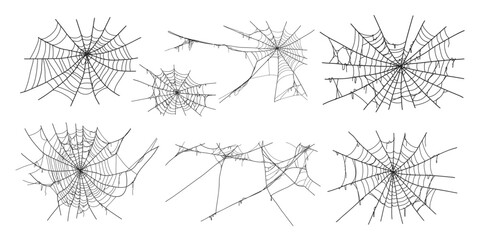 Spooky halloween old spider web with various sizes and shapes. Old cobweb set vector illustration for dark gothic decoration for holidays. Corner spider net insect thread cobweb scary frames.