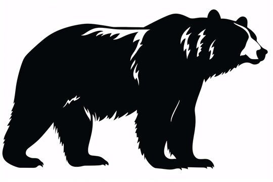 a black bear with white background