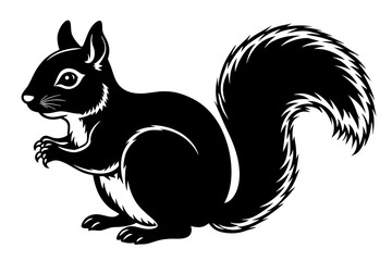 squirrel silhouette  vector and illustration