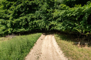 Obraz premium The Landscape of the Carpathian Mountains in Romania