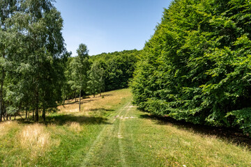 The Landscape of the Carpathian Mountains in Romania