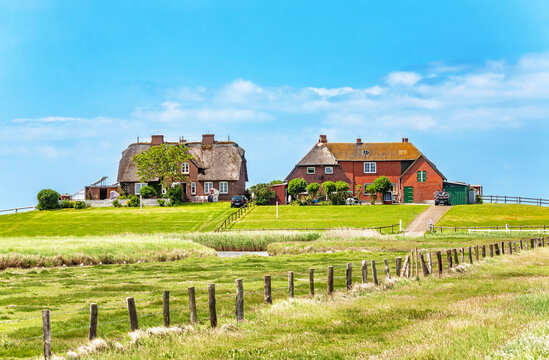 Hallig Hooge, North Friesland, Schleswig-Holstein, Germany, Europe.