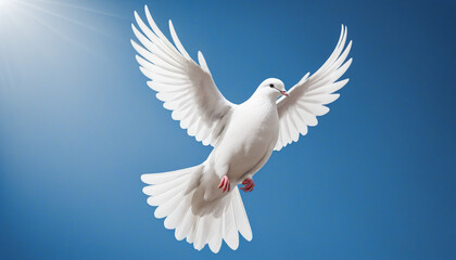 White dove of peace on a blue background, copy space, international day of peace concept colorful background