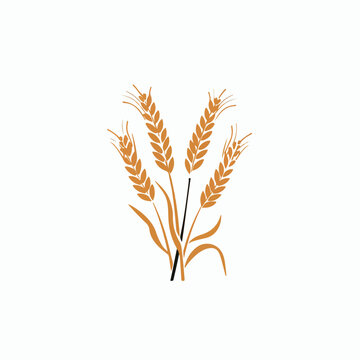 Wheat in cartoon, doodle style. Image for t-shirt, web, mobile apps and ui. Isolated 2d vector illustration in logo, icon, sketch style, Eps 10. AI Generative