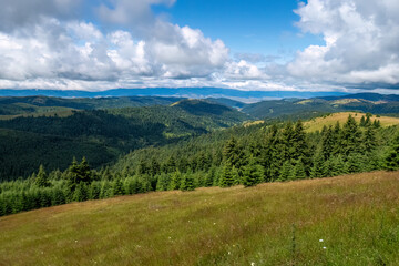 Fototapeta na wymiar The Landscape of the Carpathian Mountains in Romania
