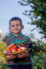 boy in the garden holding a bowl of freshly picked vegetables. selective focus