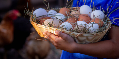 boy holding basket with chicken eggs on farm background. Selective focus