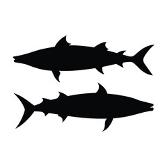 silhouette of wahoo fish on white