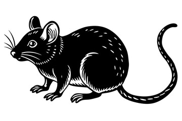 mouse silhouette  vector and illustration