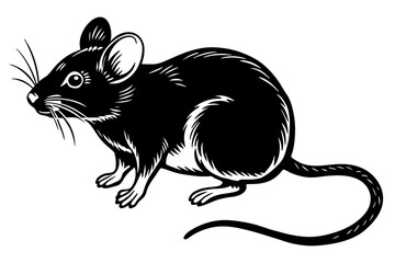 mouse silhouette  vector and illustration