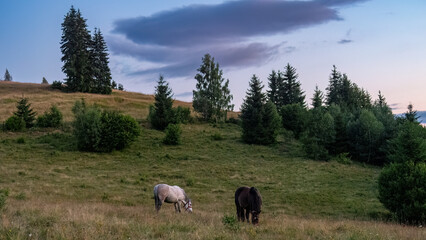 Old Farm in the carpathians of Romania
