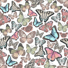 Colored butterflies on a transparent background.Multicolored butterflies on a white background in a vector pattern.
