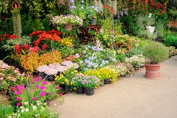 A garden with many different types of flowers and plants