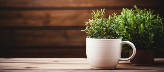 A cup with a plant and a pot of rosemary on a wooden table