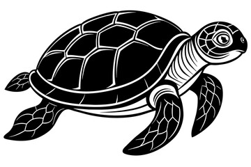 the turtle  silhouette  vector and illustration