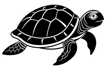 the turtle  silhouette  vector and illustration