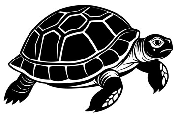 the turtle  silhouette  vector and illustration