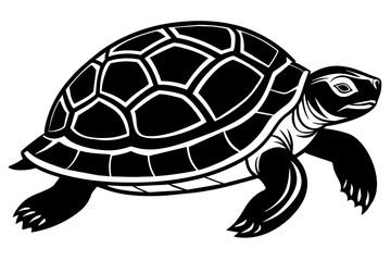 the turtle  silhouette  vector and illustration