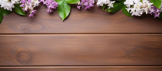 Lila flowers on a wooden surface