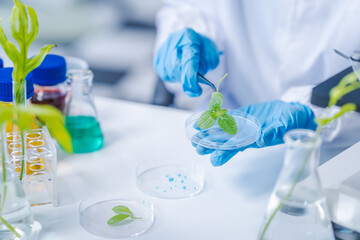 Female science biology laboratory worker using pipette, test tubes, microscope in sustainability...