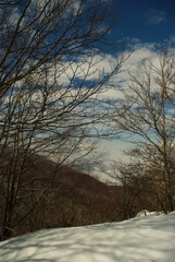 Matese Mountains - Campania - Snowy landscape