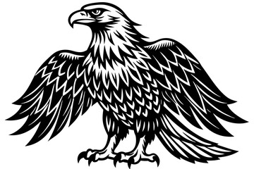 Eagle  silhouette  vector and illustration