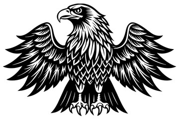 Eagle  silhouette  vector and illustration