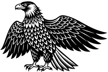 Eagle  silhouette  vector and illustration