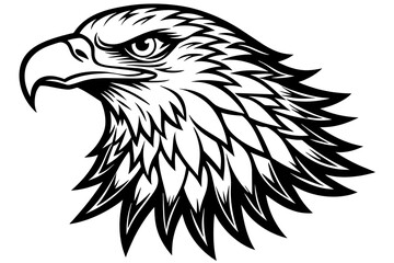Eagle  silhouette  vector and illustration