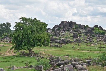 A serene landscape showcases a cluster of large boulders scattered among lush greenery, under a vast expanse of a cloudy sky, evoking a sense of tranquality in the countryside.