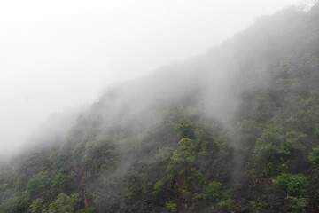 Mist enveloping a serene hill station, creating an ethereal atmosphere.