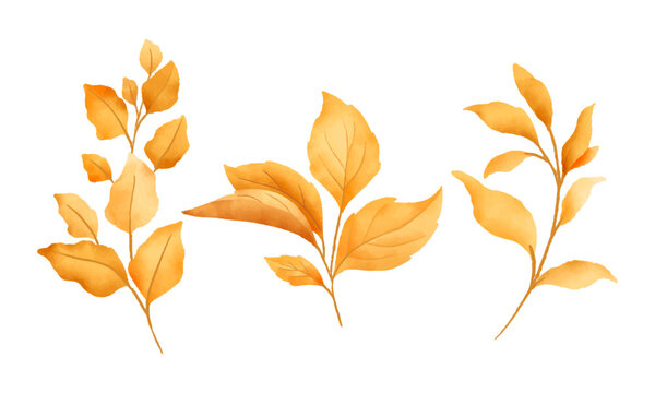 vector beautiful watercolor autumn leaves collection
