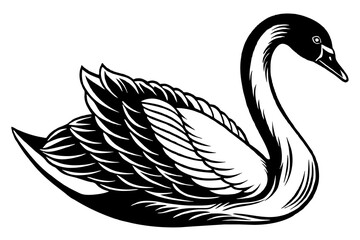 Obraz premium swan silhouette vector and illustration
