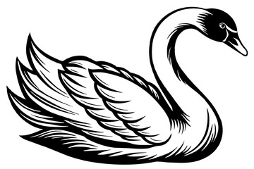 swan  silhouette  vector and illustration