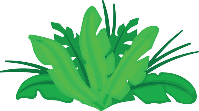 Tropical bush. Jungle green plant cartoon icon