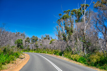 Driving along the coast of Western Australia, Boranup