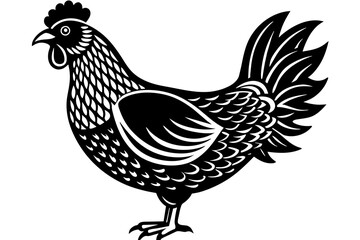  chicken  silhouette  vector and illustration