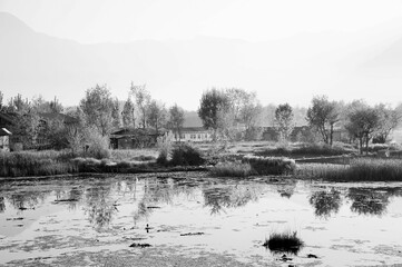 Nagin Lake, Dal Lake, Srinagar, Kashmir, Jammu and Kashmir, India, Asia