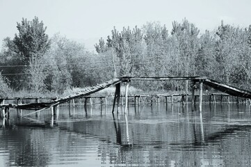 Srinagar, Kashmir, Jammu and Kashmir, India, Asia