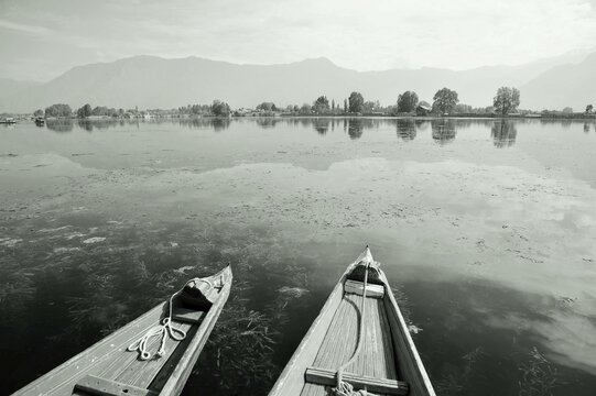 Two shikaras, Nagin Lake, Dal Lake, Srinagar, Kashmir, Jammu and Kashmir, India, Asia