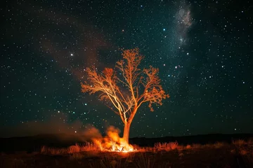 Fotobehang lone tree ablaze at night under starry sky © altitudevisual