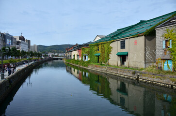 Fototapeta na wymiar Leaves changing color at Otaru Canal in Hokkaido