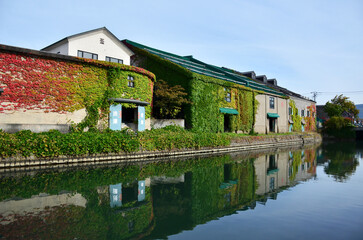 Leaves changing color at Otaru Canal in Hokkaido